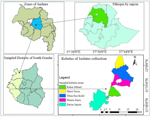 Figure 1. Locations of rice brown spot isolates collection.