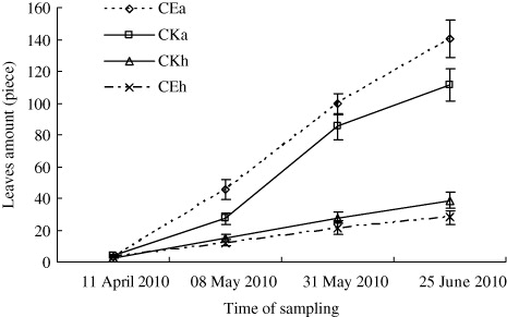 Figure 5. Number of leaves on the two plant in different habitats in house. CKH and CKA represent the habitats in which H. scandens or A. philoxeroides lived alone, and CE represents the habitat which H. scandens shared with A. philoxeroides The bars in the figure stand for the Std. Errors of the replications (n=9).