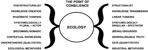 Figure 1. Ecology as the point of epistemological consilience (after Kinchin Citation2024).