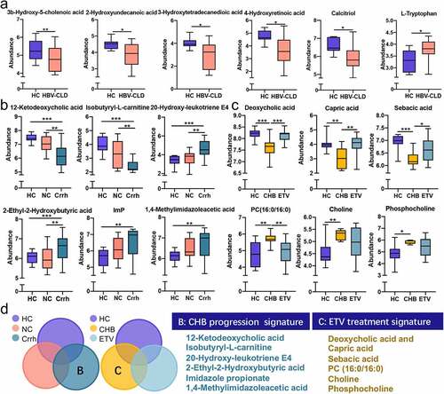 Figure 4: Distinct fecal metabolome signature of HBV-CLD patients and HCs. Representative metabolites that were significantly changed in HBV-CLD (a); correlated with disease progression (b); antiviral treatment (c); Venn diagram outlined the metabolites associated with disease progression and antiviral treatment (d). The abundance of metabolites was log-transformed with 0 values assigned with 1e-05. Box plots indicate median (middle line), 25th, 75th percentile (box) and maximum and minimum values (whisker). *pfdr<0.05, **pfdr<0.01, ***pfdr<0.001, ****pfdr<0.0001. CHB, chronic hepatitis B (treatment naive); Crrh, cirrhosis; ETV, entecavir; HBV-CLD, hepatitis B virus related chronic liver diseases; HC, healthy control; NC, non-cirrhosis.