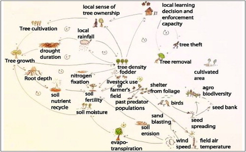 Figure 6. Conceptual model of the variety of interrelated variables that influence large scale regreening in a complex setting (Bon, Citation2019, p. 43) after a model by Sendzimir et al. (Citation2011).