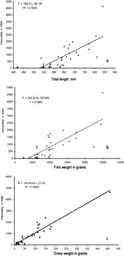 Figure 12. Relationship between (a) fecundity – total length, (b) fecundity – body weight and (c) fecundity – ovary weight in Epinephelus coioides.