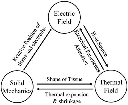 Figure 1. Schematic diagram of thermal-electrical-structural model coupling fields.