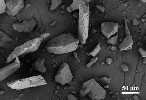Figure 1. SEM micrograph of SiC particles.