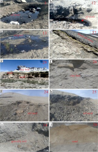 Figure 6. Photos of partial field verification point of oil and gas leakage.