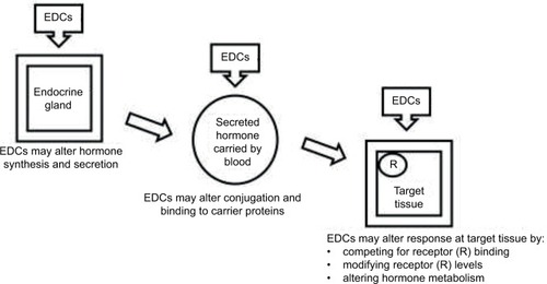 Figure 1 Mechanisms of action of EDCs.
