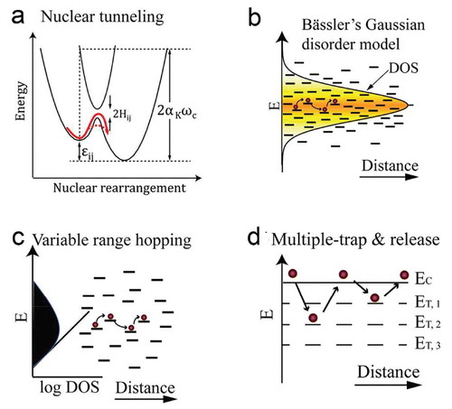 Figure 2. Schematic illustrations of the charge transport in organic semiconductors. (a) Schematic representation of electron transfer in a biased double quantum well. The Marcus hopping path and the nuclear tunnelling are indicated by solid-red and dashed-red arrows, respectively. (b) The Bässler’s Gaussian disorder model with a varying width of the Gaussian function σ. (c) The variable range hopping transport. (d) The multiple trap and release (MTR) model. Partically adapted with permission from Ref [Citation128].Copyright (2017) The Royal Society of Chemistry