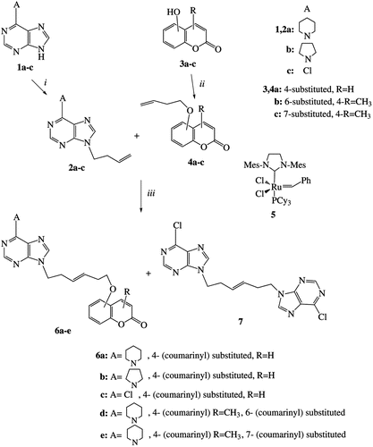 Scheme 1.  Reagents and conditions: (i) 4-bromo-1-butene, anhydrous K2CO3, dry DMF, reflux under Ar2, 15 h; (ii) 4-bromo-1-butene, anhydrous K2CO3, dry acetone, reflux, 20 h; (iii) CH2Cl2, 5 (14 mol% in two portions, the second after 2 h), MW, 100°C, 3 h.