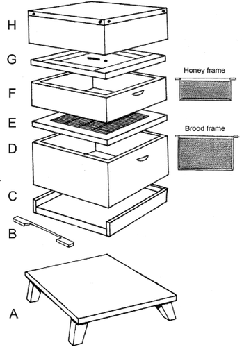 Figure 2. Essential features of the typical modern beehive (reprinted figure with permission from P. Gordon (2004)) (A) Hive stand: Providing clearance from ground level thus avoiding damp, reducing accessibility for intruders (e.g. mice). (B) Entrance block: Denying or reducing bees’ access to hive, in Wintertime equipped with a mouse guard. (C) Floor board: Rest for brood box with entrance allowing access for bees. (D) Brood box: Series of vertically hanging brood frames on which queen can lay eggs and worker bees perform their various tasks (feeding larvae, caring for drones and queen). (E) Queen excluder: Wire construction preventing queen from laying eggs in super; equally impassable for drones. (F) Super: Containing vertically oriented shallower frames for honey storage; in productive years more than one super necessary. (G) Crown board: Insulation board preventing the escape of too much warmth from super. It contains apertures (1) to insert feeder for supplementary feeding, (2) for bee escape (one-way exit: return through this aperture impossible). (H) Roof: Water-proof cover with metal gauze ventilation holes (inaccessible to insects, robber bees and wasps).