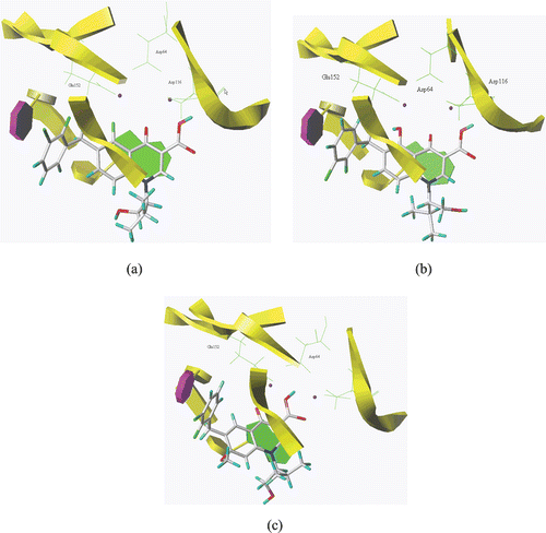 Figure 2.  Binding models of compounds (a) 4e, (b) 3eand (c) Elvitegravirin the active site of new homoly model of HIV-1 IN.