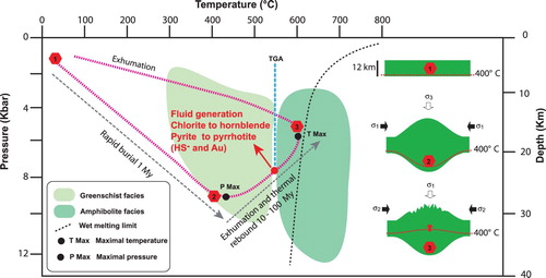 Figure 2. Pressure – temperature – time metamorphic diagram (P-T-t). Note: This diagram illustrates the idealised path of hydrated seafloor rocks that experienced a rapid burial and subsequent thermal rebound during exhumation, according to the modelling of Connolly (Citation2010) for optimal metamorphic fluid generation. The schematic blocks illustrate for various points (1–3) along the path the thickening and exhumation of the seafloor rocks and the related position of the 400°C isotherm for reference. During exhumation (3), the tectonic stress field can be inverted as the mountain load (gravity) becomes the principal constraint (σ1). Metamorphic fluids, HS- and gold are released at the transition between greenschist and amphibolite facies (TGA) when the temperature of the rocks reaches approximately 550°C.