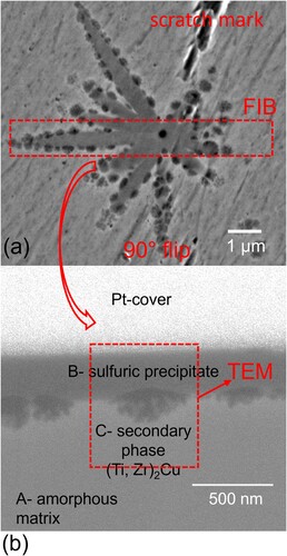 Figure 2. (a) SEM image in BSE contrasting mode showing a precipitate in the synchrotron X-ray amorphous 1.5 mm plate sample. (b) In-lens detector image, showing mainly material contrast of the FIB cut lamella with applied protective Pt-cover applied on top, for later thinning operation. The section of the sample where TEM analysis was performed on this specimen is marked by a dashed rectangle labelled TEM.