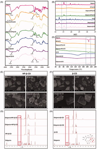 Figure 1. Characterization of didymin inclusion complex. FT-IR spectra (A), PXRD diffractogram (B), DSC thermograms(C), SEM micrographs (D, E) and NMR spectrum (F, G) of the of didymin, cyclodextrin (HP-β-CD and β-CD), didymin inclusion complex (didymin/HP-β-CD and didymin/β-CD) and physical mixture (didymin + HP-β-CD and didymin + β-CD).