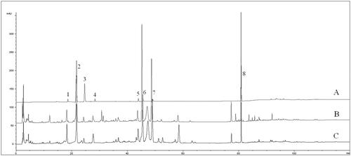 Figure 1. HPLC chromatogram of standard mixture (A), crude drug (B) and sweated sample (C): (1) LA; (2) CA; (3) CaA; (4) LN; (5) IB; (6) IA; (7) IC and (8) AVI.