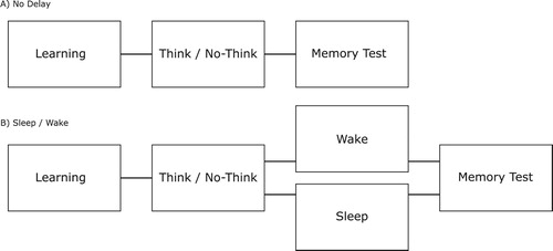 Figure 1. (A) Participants in the No-Delay group first encoded words-image pairs. When they had learned these associations to criterion, they performed the Think/No-Think task and then completed the memory test after a five-minute break. (B) Participants in the Sleep and the Wake groups performed the learning and the Think/No-Think task in the same manner as the No Delay group, but performed the final memory test after a 3.5 h long delay interval. For the Sleep group, this delay interval contained a 2-hour nap opportunity, whereas the Wake group spent a similar amount of time passively resting.