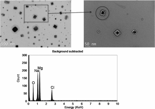 Figure 6 TEM/EDS data for airborne particles from a mixture of NaCl and MgCl2 solution.