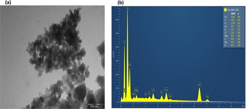 Figure 7. TEM imaging (a) and EDS analysis of FeO NPs synthesized using aerial parts of E. tirucalli (b).