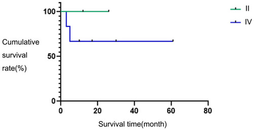 Figure 3 Survival curves in different stages.