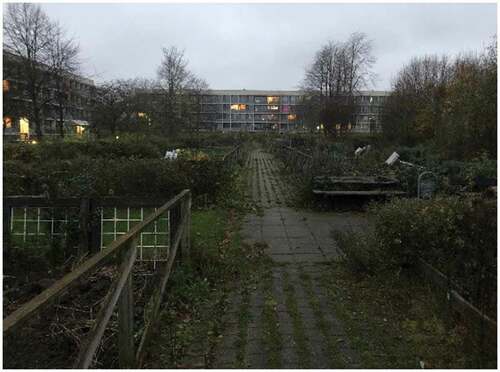 Figure 9. A November day in the gardens between the blocks, where the tenants in Gellerup grow vegetables. Photo: Birgit Eriksson