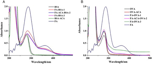 Figure 2. The UV–Vis spectra of different antigens. (A) Antigens with BSA as carrier protein; and (B) antigens with OVA as carrier protein.