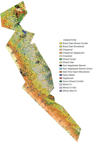 Figure 7. Forest types mapped using 2014 summer Landsat8 data.