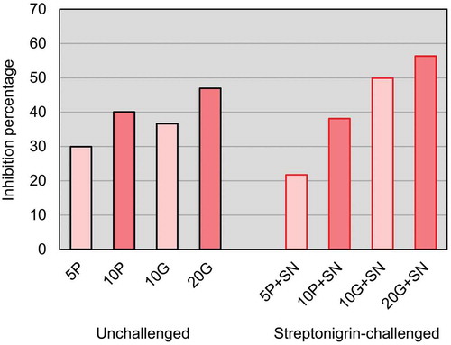 Fig. 4. Inhibition percentages of the SMART conditions. Tested groups are identified by abbreviations (5P, 10P, 10G and 20G) composed by the percentage of alga supplementation and a capital letter identifying the species (P for Porphyra umbilicalis and G for Grateloupia turuturu), adding ‘+SN’ to denote the streptonigrin incorporation in the medium. The lighter bars represents the lower concentration tested and the darker bars the higher concentration tested for each seaweed.