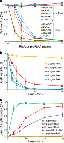 Fig. 3 RtxA but not proRtxA is cytotoxic against various cells.a Different cell types (1 × 106/ml) were incubated with increasing concentrations (0.5, 1, 2, and 4 µg/ml) of purified RtxA or proRtxA in the presence of 2 mM calcium ions for 1 h at 37 °C. b HLaC-78 cells (1 × 106/ml) were incubated with the indicated concentrations of purified RtxA for different times at 37 °C. a, b Cell viability was determined by a cell viability staining assay using 1 µg/ml of Hoechst 33258 followed by flow cytometry. The viability of cells incubated without RtxA was reported as 100%. Each point represents the mean value ± SD of four independent experiments. c Erythrocytes (5 × 108/ml) were incubated at 37 °C in the presence of increasing concentrations (0.1, 0.2, and 1 µg/ml) of purified RtxA or 1 µg/ml of proRtxA. Erythrocytes incubated with 1 µg/ml of RtxA in the absence of calcium ions were used as negative control. Cytolytic (hemolytic) activity was measured at different times as the amount of released hemoglobin by photometric determination (A541nm). Complete lysis of erythrocytes was reported as 100%. Each point represents the mean value ± SD of three independent determinations performed in duplicate