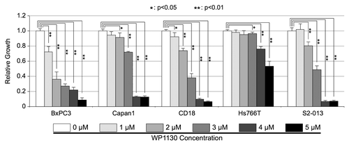 Figure 6. Effects of USP9X inhibitor, WP1130, on in vitro PDAC cell growth. BxPC3, Capan1, CD18, Hs766T, and S2-013, PDAC cells were cultured in the indicated concentrations of WP1130 for 72 h. All conditions tested included the same concentration of the DMSO vehicle. Cell viability was assessed by MTT assay, as described in the Materials and Methods. Measurements from triplicate cultures (n = 3) were averaged and plotted. Error bars represent standard deviations, and the Student t test was used to determine significance. This experiment was repeated and similar results were obtained.