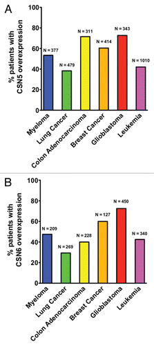 Figure 1 Transcriptomic analyses of CSN5 and CSN6 overexpression in human cancer patients. Human cancer patient data sets were obtained from Oncomine and Gene Expression Omnibus. Data were analyzed using Oncomine analysis tools and Nexus Expression 2.0. Only patients with more than 40% increase in CSN5 (A) or CSN6 (B) mRNA levels compared with normal tissues were scored as “CSN5 overexpression” or “CSN6 overexpression,” respectively. N represented the total number of patients analyzed in each type of cancer.