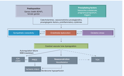 Figure 3. Proposed pathophysiology of reversible cerebral vasoconstriction syndromes.cSAH: Cortical subarachnoid hemorrhage, ICH: Intracerebral hemorrhage; PRES: Posterior reversible encephalopathy syndrome; TCH: Thunderclap headache.