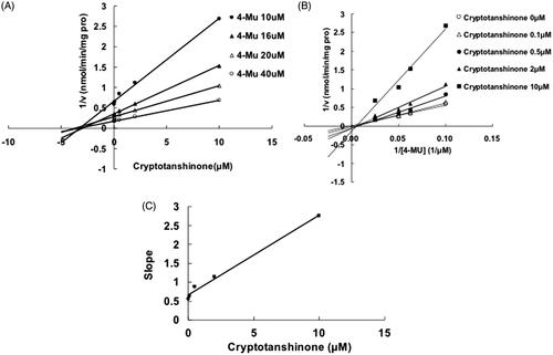 Figure 3. Inhibition of UGT1A7-mediated 4-MU glucuronidation reaction by cryptotanshinone. (A) Dixon plot of inhibitory effects of cryptotanshinone towards recombinant UGT1A7-catalyzed 4-MU glucuronidation. (B) Lineweaver–Burk plot of inhibitory effects of cryptotanshinone towards recombinant UGT1A7-catalyzed 4-MU glucuronidation. (C) Second plot of slopes from Lineweaver–Burk plot versus cryptotanshinone concentrations. Every data point represents the mean of two replicates.