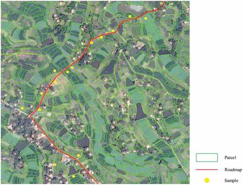 Figure 2. Farmland parcels and field survey samples for crop classification.