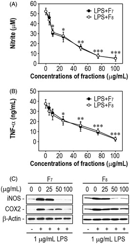 Figure 3. The IRG active fractions inhibit the production of NO and TNF-α and the induction of iNOS and COX-2 in LPS-stimulated RAW 264.7 macrophages. Cells were treated with various concentrations (0–100 μg/mL) of F7 or F8 prior to stimulation with 1 μg/mL LPS. After 48 h of incubation, the levels of (A) NO and (B) TNF-α in the conditioned media were determined. *p < 0.05, **p < 0.01, and ***p < 0.001 vs. LPS treatment alone. (C) Cells were treated with 100 μg/mL of each of the two active fractions in the presence of 1 μg/mL LPS for 24 h. Whole protein lysates were prepared from the cells and analyzed by Western blotting.