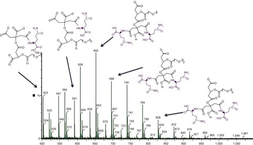 Figure 3 Liquid chromatography-mass spectroscopy of glutamine conjugated to dendrimer-G2.