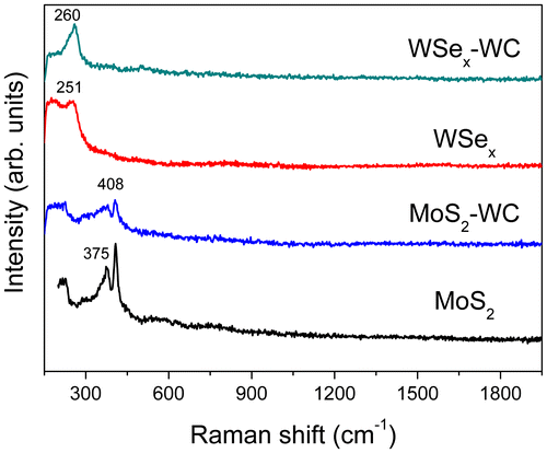 Figure 7. Raman spectra of the MoS2 and WSe2-based coatings.