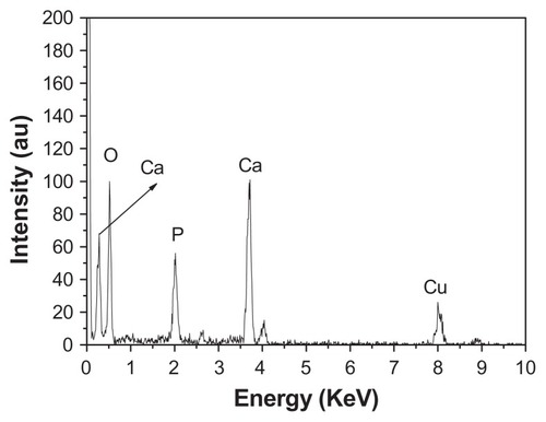 Figure 4 Energy-dispersive X-ray analysis spectrum of hierarchically nanostructured hydroxyapatite (sample 1).