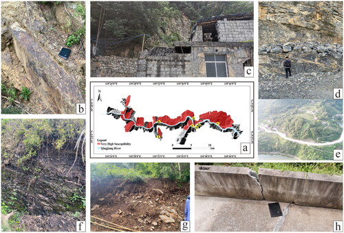 Figure 16. The fieldwork process. (a): very high susceptible areas; (b), (d), (f) and (g): some typical weak rock mass; (c): slope-cutting behind the house; (e): slope-cutting to build the road; and (h): cracks behind the house.