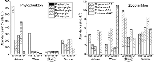 Figure 3. Abundance of phytoplankton and zooplankton in Chuanfang River.