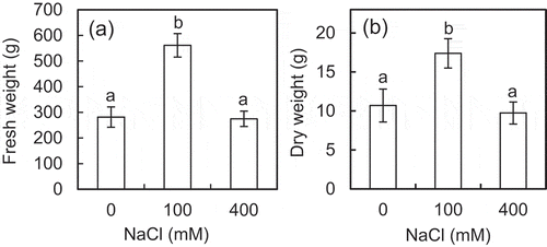 Figure 1. Effects of NaCl on the growth of shoots of the ice plant. The fresh weight (a) and dry weight (b) of shoots were observed at 6 weeks after the onset of treatments. Data are mean values ± standard deviations (n = 10). Different letters indicate statistically significant differences among NaCl treatments by Turkey–Kramer test (p < 0.05).
