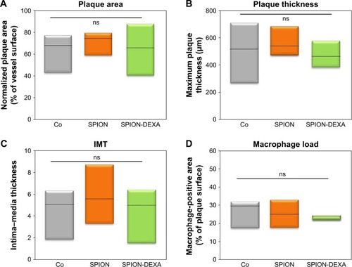 Figure 6 In vivo effects of late MDT with SPION-DEXA.Notes: Following the balloon injury, the animals were fed high-cholesterol diet for 5 weeks and normal diet for 2 weeks. Subsequently, the animals received intra-arterial administration of either control SPION or SPION-DEXA under external magnetic field and additional 4 weeks of normal diet. Control group animals (Co) did not receive any treatment with nanoparticles. (A) Normalized plaque area; (B) maximum thickness of intima; and (C) the calculated IMT are shown. (D) Macrophage-positive area (RAM-11 staining) in animals receiving early administration of control SPION or SPION-DEXA. Graphs show median, 25th and 75th percentile.Abbreviations: IMT, intima–media thickness; MDT, magnetic drug targeting; ns, not significant; SPION, superparamagnetic iron oxide nanoparticles; SPION-DEXA, SPIONs conjugated with dexamethasone phosphate.