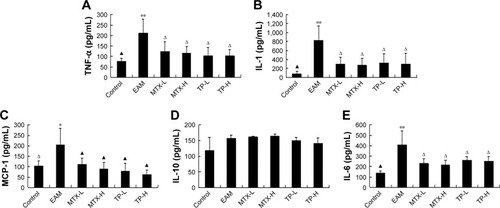 Figure 8 Concentration of TNF-α (A), IL-1 (B), MCP-1 (C), IL-10 (D) and IL-6 (E) in rats of each group.Notes: **P<0.01, compared to control; ΔP<0.05 and ▲P<0.01, compared to EAM.Abbreviations: EAM, autoimmune myocarditis; H, high dose; L, low dose; MCP, monocyte chemoattractant protein; MTX, methotrexate; TNF-α, tumor necrosis factor-alpha; TP, triptolide.