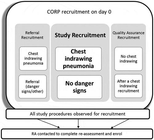 Figure 2. CORP recruitment: different types on day 0.