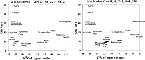 Figure 8. Plots of δ13C versus C/N ratios in sedimented organic matter for cores from Lakes Kissimmee and Marian from the early 1800s until 2017. Both lakes lacked macrofossil evidence and were consistently dominated by algae and cyanobacteria over time. Specific taxa are placed in relative positions based on δ13C and C/N values reported for studies of other Florida lakes, and are used here to provide general indication of trends in community change.