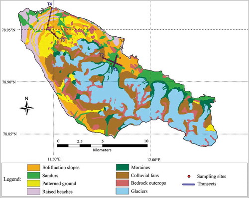 Figure 5. Landform classification of the Brøgger Peninsula (Svalbard), adapted from Joly (Citation1969).