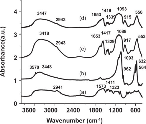 Figure 2 FTIR spectrum of (a) DARVAN 811 (b) Commercial hydroxyapatite standard and (c) NanoCaP formed in the presence of DARVAN 811 (d) NanoCaP/CDDP conjugates.