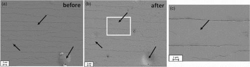 Figure 4. SEM micrographs of the same area of a cracked sample (a) before and (b) after subjecting the film to J = 0.6 MA/cm2 for 24 h. (c) Higher magnification of box in (b) further illustrating that cracks have closed. Arrows indicate where fine cracks are no longer visible.