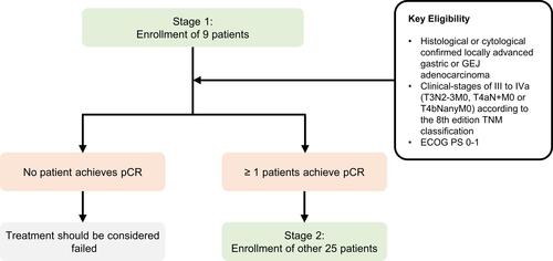 Figure 2 Simon optimal two stage design for SHARED study. At stage 1, nine patients who meet the inclusion criteria will be enrolled. If one or more patients demonstrate pCR, the study will advance to stage 2 to include 25 additional patients.