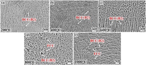 Figure 6. Microstructure of the alloy after high temperature wear testing (a) 200°C, (b) 400°C, (c) 600°C, (d) 800°C, (e)1000°C.