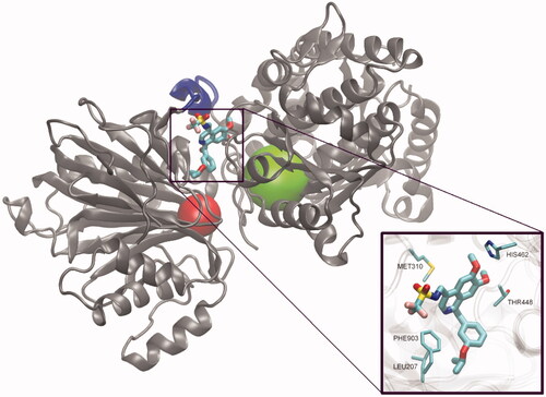 Figure 2. The hypothetical complex of RO0509347 with human GlcN-6-P synthase. Drawing based on the results of docking calculations to the hGFAT2 matrix (pdbid: 6r4f)Citation123, performed with the use of Autodock 4.2, according to the procedure described previouslyCitation124. A single subunit of the tetrameric enzyme is shown, with GAH and ISOM active centres indicated as red and green spheres respectively. A flexible linker joining both domains of the enzyme is coloured blue.