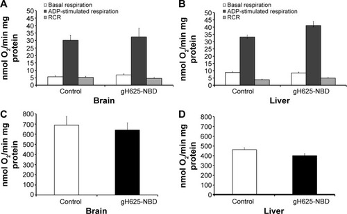 Figure 11 Effect of in vivo administration of gH625 on mitochondrial respiration and cytochrome oxidase activity detected in brain (A, C) and liver (B, D) homogenates in the rat. Values represent the mean ± standard error of three homogenate preparations from different rats.Notes: Each experiment was performed in triplicate. Control rats received vehicle.Abbreviations: ADP, adenosine diphosphate; NBD, 7-nitrobenz-2-oxa-1,3-diazole-4-yl; RCR, respiratory control ratio.